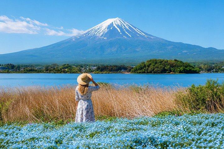 東京発 富士山と山中湖の日帰りプライベートツアー