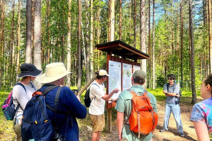 Caminata mágica por el bosque de Taiga con almuerzo y transporte
