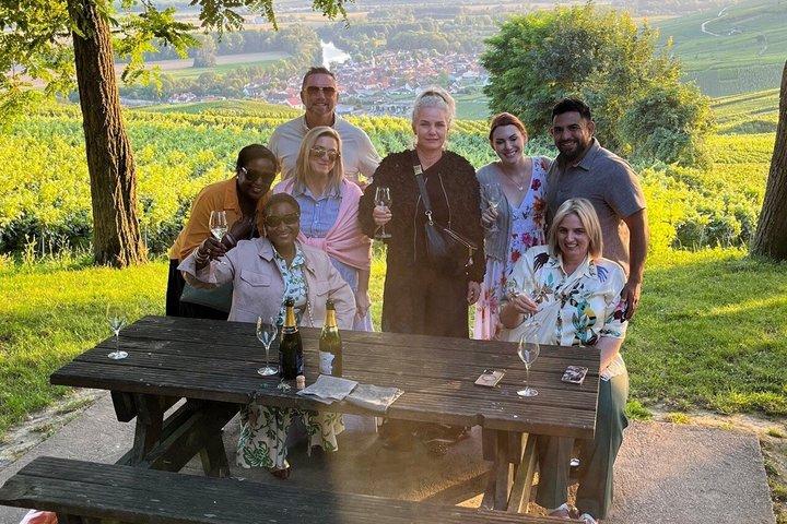 Tour dello champagne per piccoli gruppi da Parigi, degustazioni e ritiro dall'hotel
