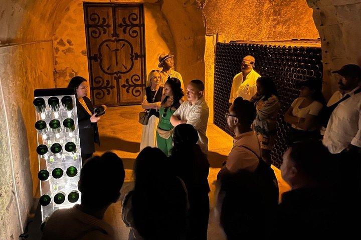 Tour dello champagne per piccoli gruppi da Parigi, degustazioni e ritiro dall'hotel