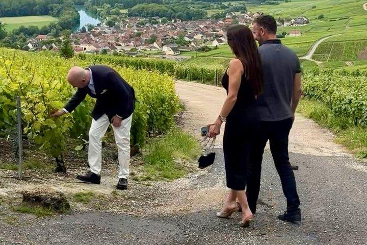 Tour dello champagne per piccoli gruppi da Parigi, degustazioni e ritiro dall'hotel