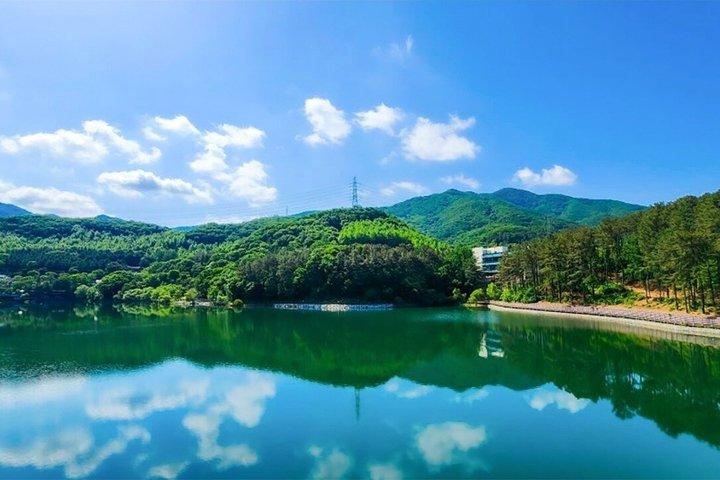 DMZ Small Group: Tunnel, NK-avhoppare, Majang Lake Bridge