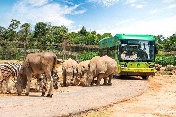 ビンパールサファリフーコックサファリバスと野生動物アドベンチャー
