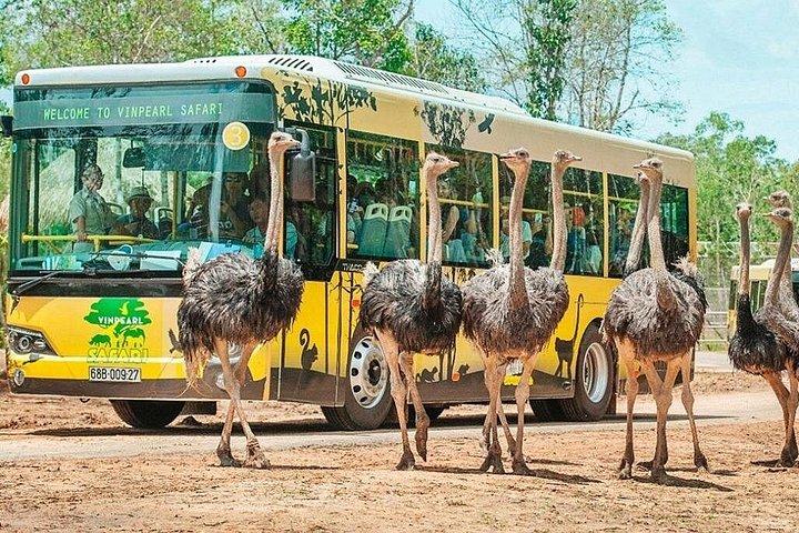 ビンパールサファリフーコックサファリバスと野生動物アドベンチャー