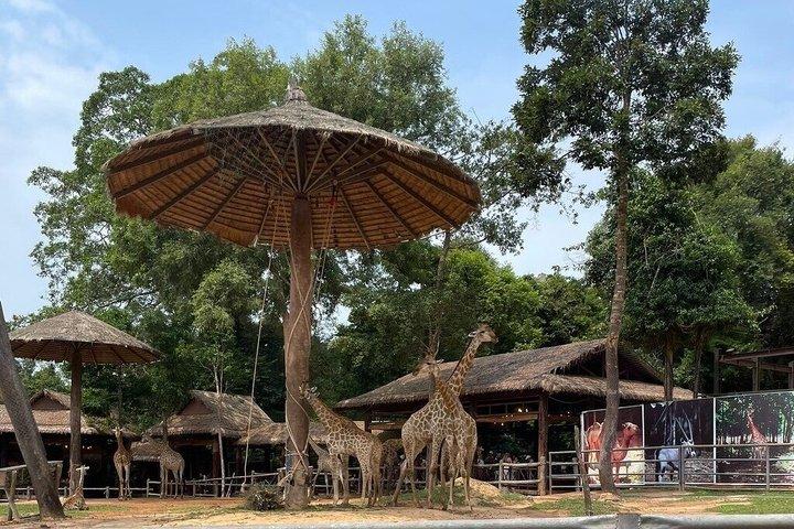 ビンパールサファリフーコックサファリバスと野生動物アドベンチャー