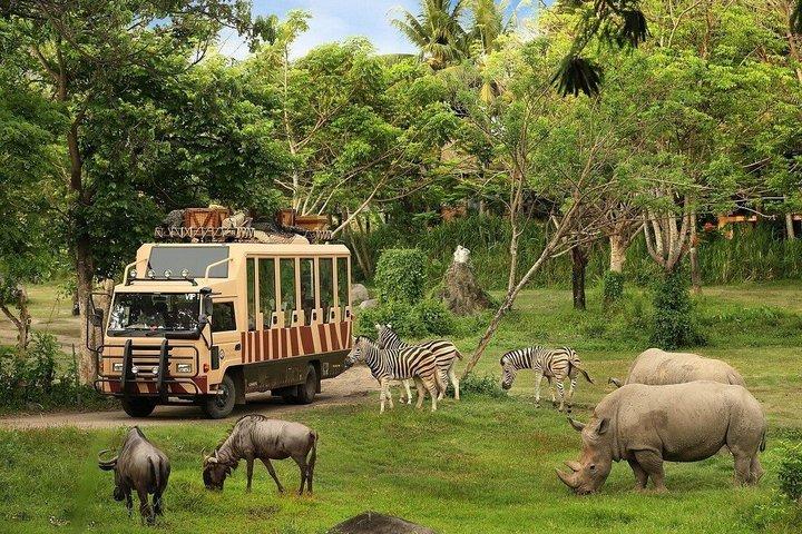 ビンパールサファリフーコックサファリバスと野生動物アドベンチャー