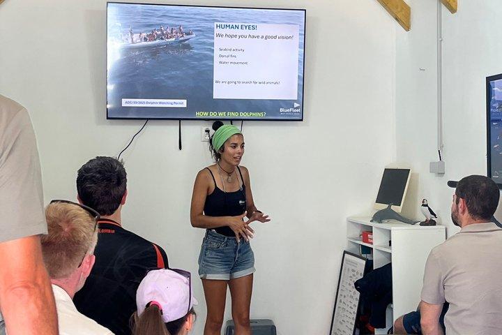 Biolog guidet delfin ser safari