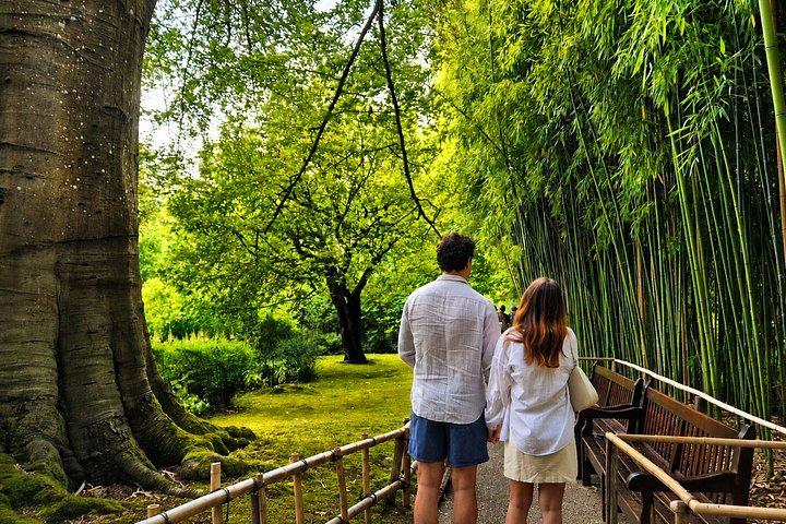 パリからジヴェルニー半日旅行へ モネの家＆庭（ミニバン）