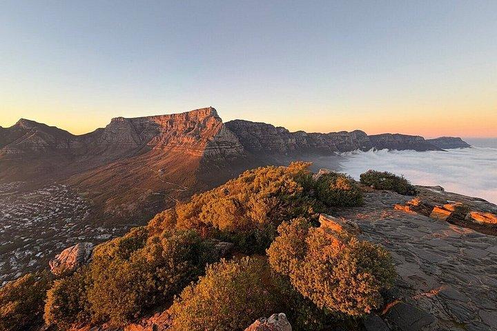 Cape Town Lions Head og Table Mountain Guidede Vandringer