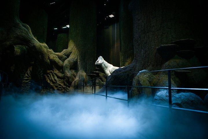 Warner Bros. Studio Tour og Thames River Sightseeing Cruise