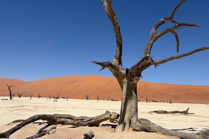 Sossusvlei All Inclusive Aventura de lujo de 3 días