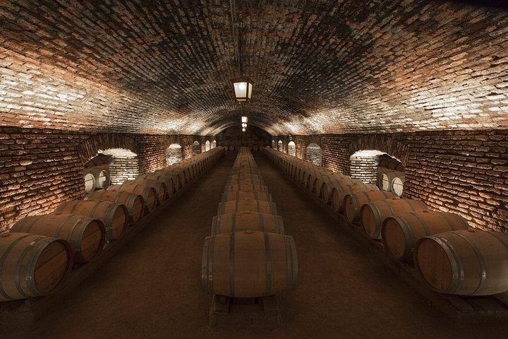 Concha y Toro Premium Sensory