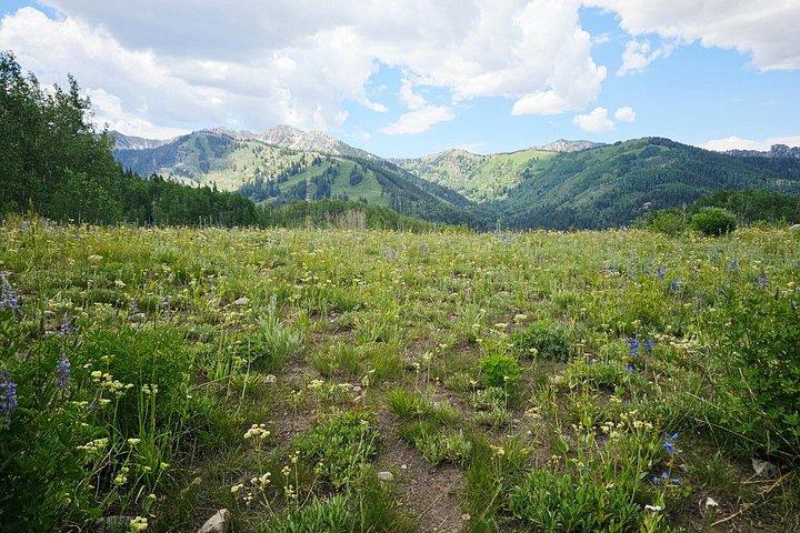 Guided Hiking Adventure to a Meadow/Alpine Lake near Salt Lake