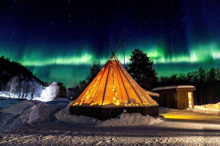Evening Enchanting Arctic Aurora Husky Visit