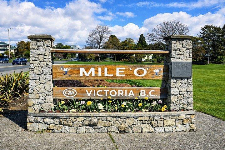 Visite des points forts de Victoria Express de 2 heures (1-9 pax)