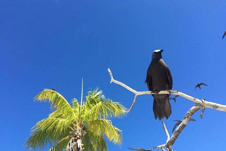 Cruises to Tetiaroa French Polynesia