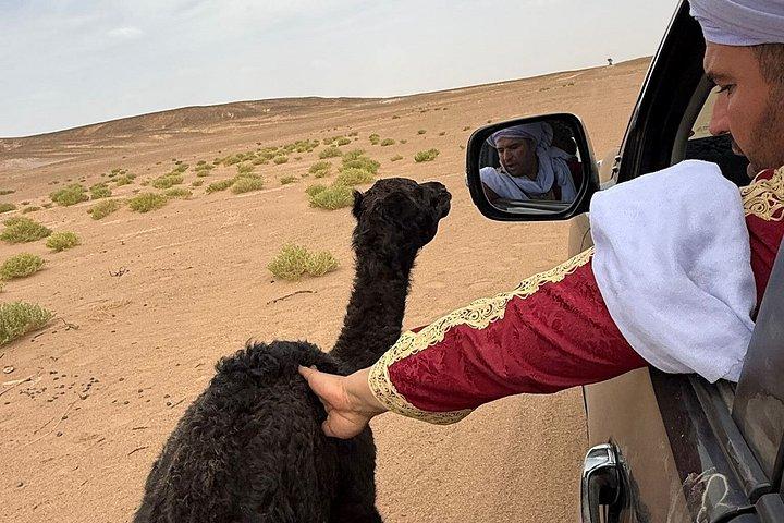 3-dages tur i Merzouga-ørkenen