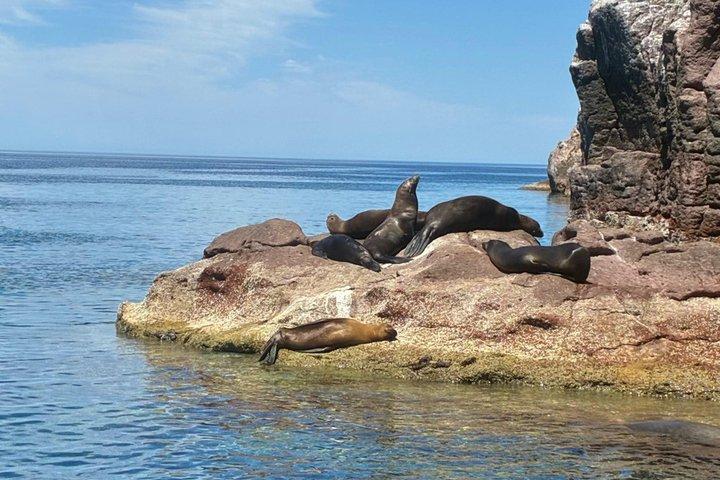 Tour Guiado a Isla Espíritu Santo
