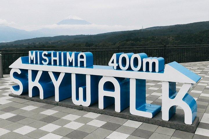東京発プライベート箱根ツアー：お城、神社、温泉
