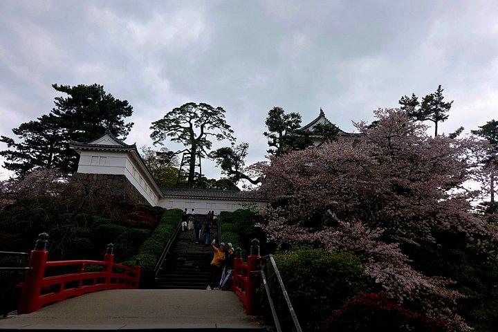 東京発プライベート箱根ツアー：お城、神社、温泉