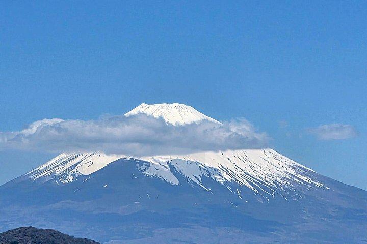 Private Hakone Tour from Tokyo: Castle, Shrine & Onsen