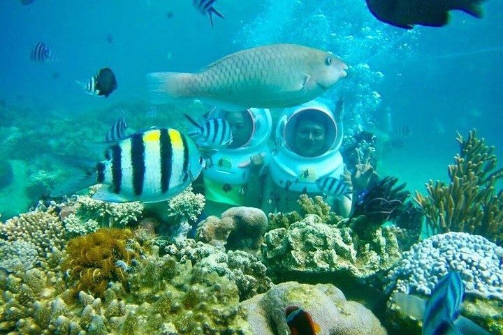 ニャチャン湾観光：シーウォーク＆伝統的なベトナムシーフード