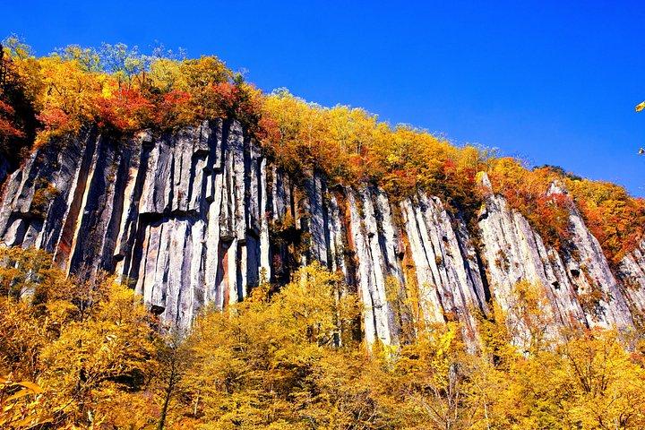 札幌から秋の旭岳と羽衣の滝ロープウェイツアー