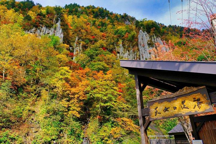 札幌から秋の旭岳と羽衣の滝ロープウェイツアー