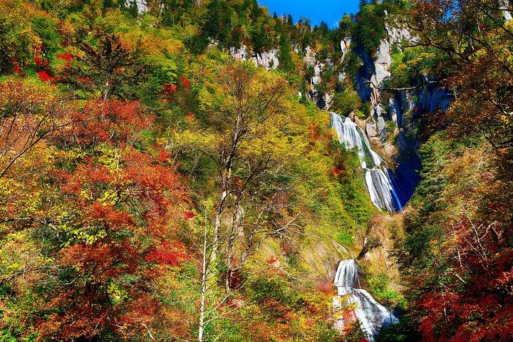 札幌から秋の旭岳と羽衣の滝ロープウェイツアー
