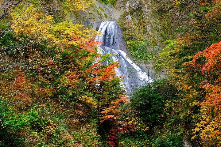 札幌から秋の旭岳と羽衣の滝ロープウェイツアー