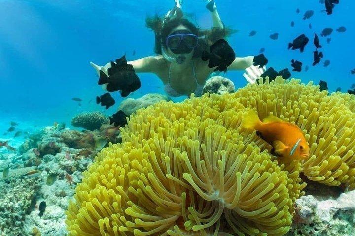 バリ島ヌサドゥアシュノーケリング体験（送迎付き）