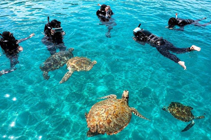 Redang Island Snorkeling Day Trip