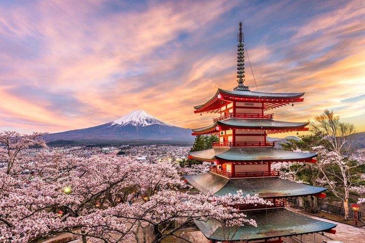 Mount Fuji privat anpassningsbar dagstur med Engelska Driver