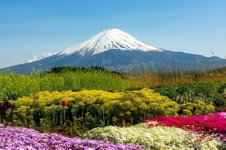 Mount Fuji privat anpassningsbar dagstur med Engelska Driver