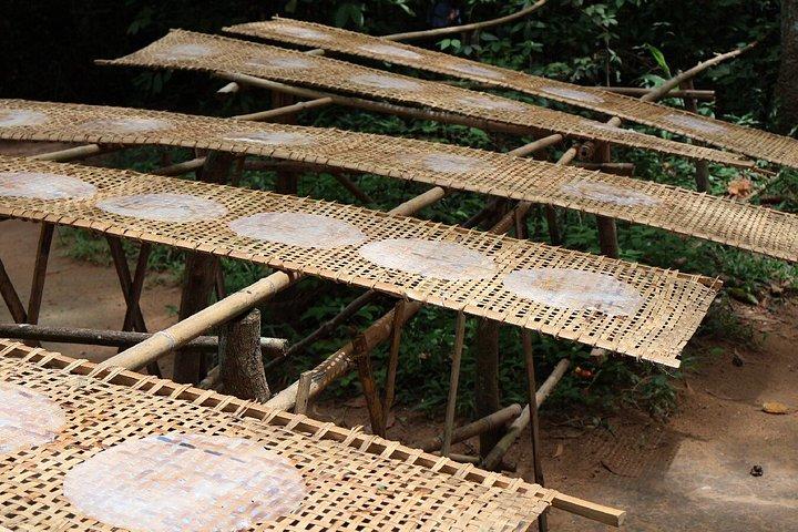 ホーチミンからクーチートンネル観光エコボートツアー