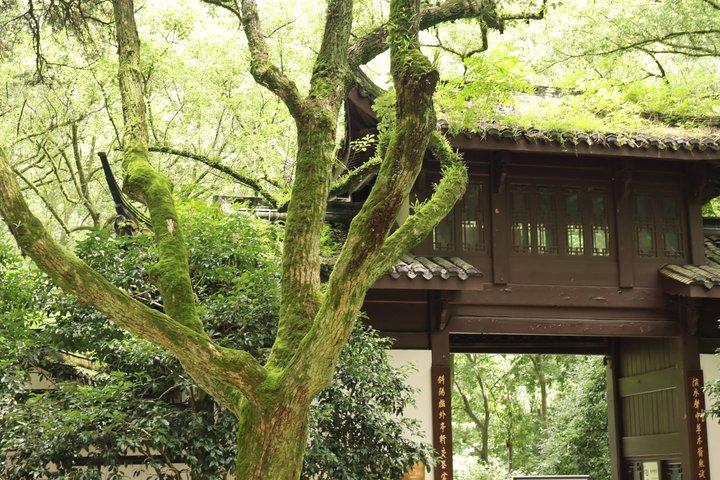 Excursion d'une demi-journée à Hangzhou dans la pagode Bamboo Grove et Old Street