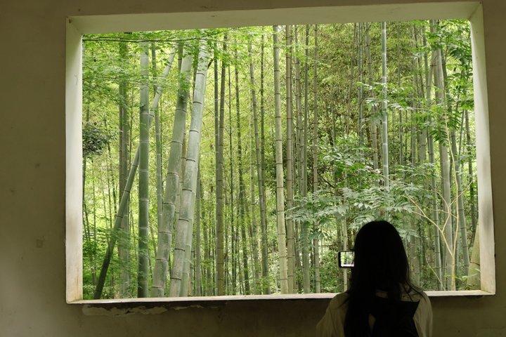 Hangzhou Half Day Tour in Pagoda Bamboo Grove and Old Street