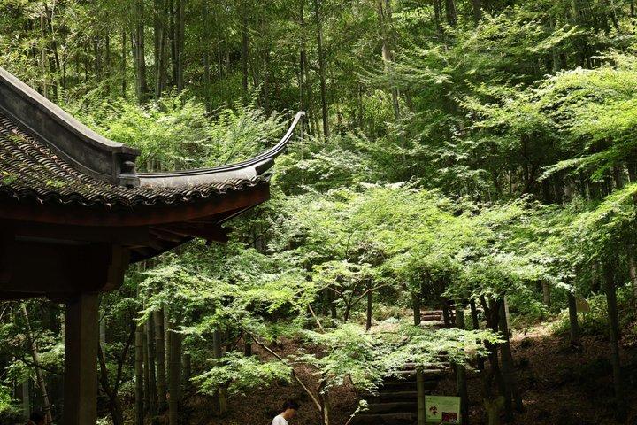 杭州半日観光パゴダ竹林と旧市街