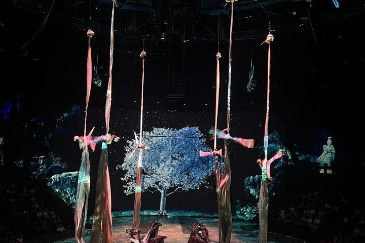 Shanghai ERA2 krydsning af tid Acrobatic Show billet
