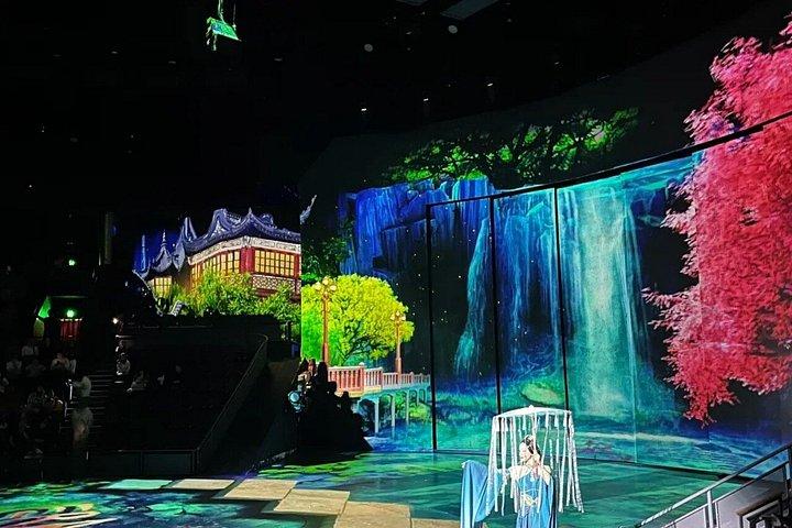 Shanghai ERA2 krydsning af tid Acrobatic Show billet