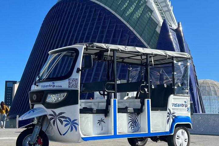 Valencia för kryssningsresenärer – 2-timmars tur med tuk-tuk