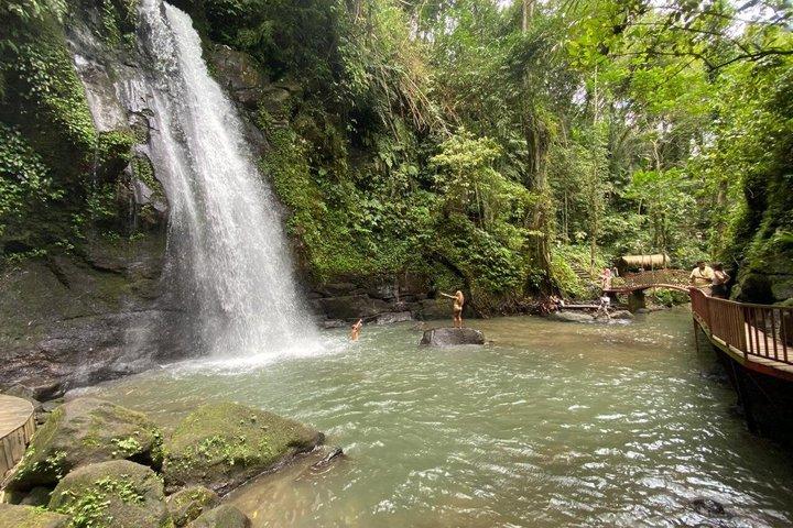 Private Authentic Ubud Half Day Tour with a Local Guide