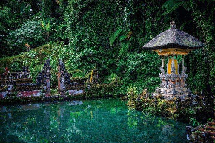 Private Authentic Ubud Half Day Tour with a Local Guide