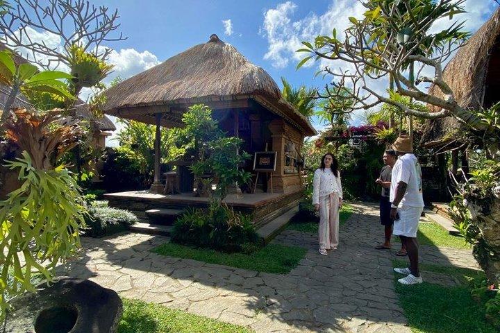 Private Authentic Ubud Half Day Tour with a Local Guide