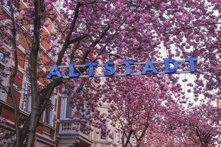 Bonn Highlights, Stories, and Local Atmosphere Tour