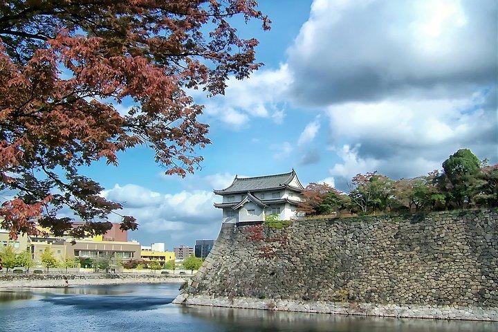 Osaka Driving Tour with Local Guide