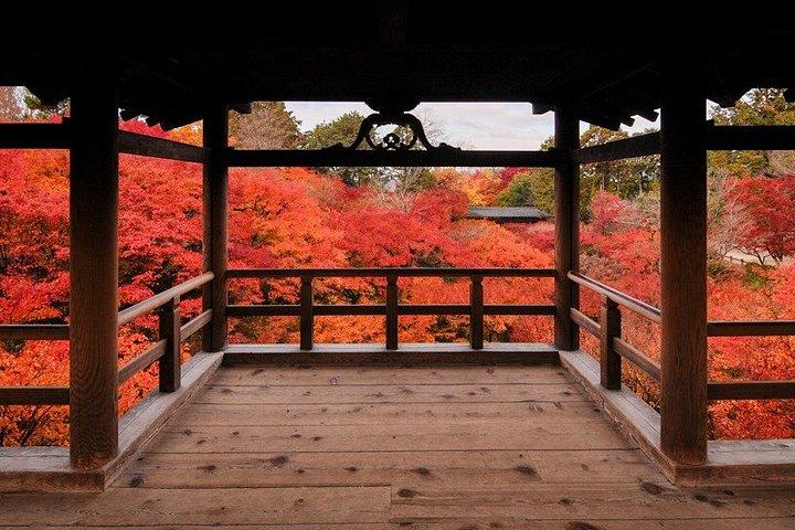 ドライバーによる京都一日観光ツアー。英語、車いす対応可能。観光地、送迎地の変更もフレキシブル。