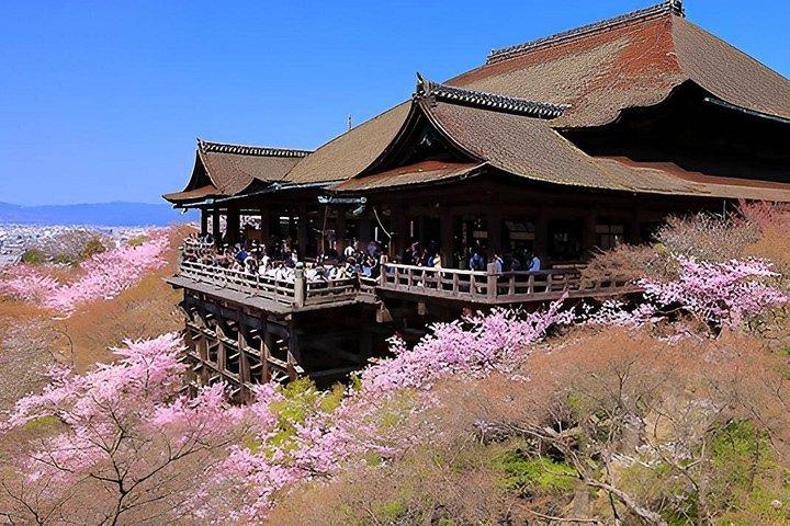 ドライバーによる京都一日観光ツアー。英語、車いす対応可能。観光地、送迎地の変更もフレキシブル。