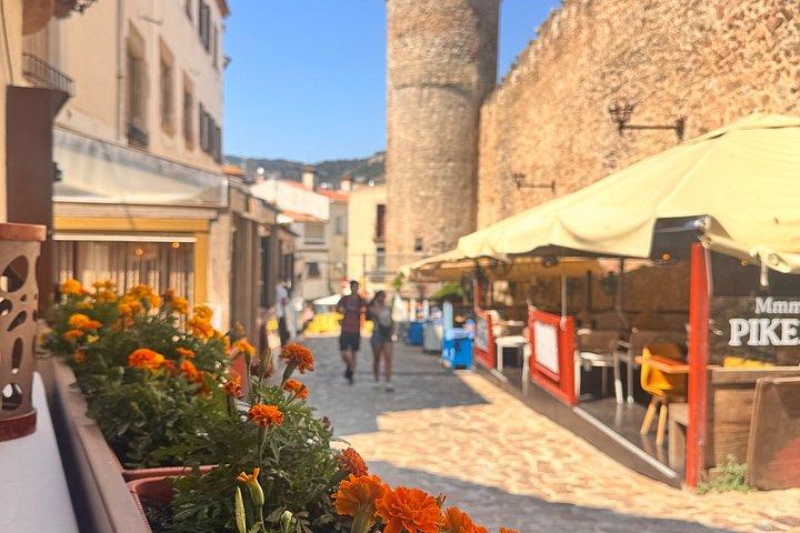 Girona & Tossa de Mar _ Excursion privée d'une journée