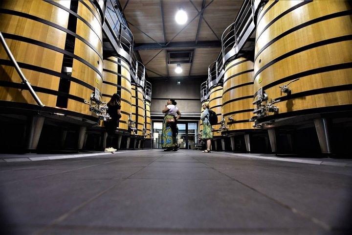 Tour enologico pomeridiano di Medoc - 2 cantine, degustazioni e prelibatezze